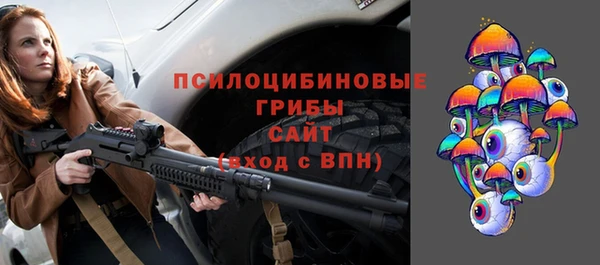 сатива Балахна