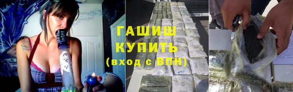 сатива Балахна