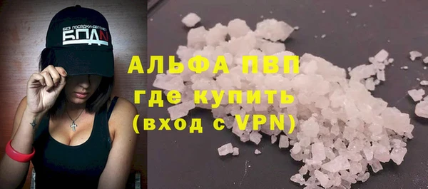 сатива Балахна