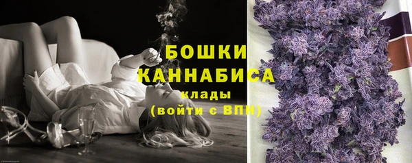 сатива Балахна