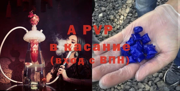 сатива Балахна