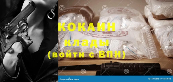 крисы Аркадак