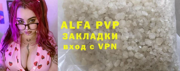 сатива Балахна