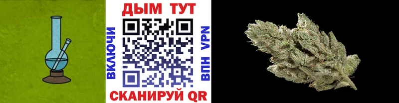 Конопля тримм  Купить закладки  Сураж 